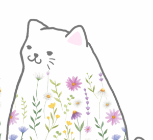 美肌ちゃん
